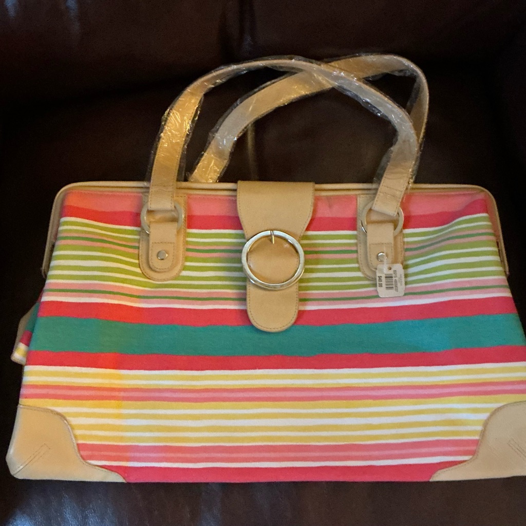 Bed Bath  Beyond Colorful Striped Tote
